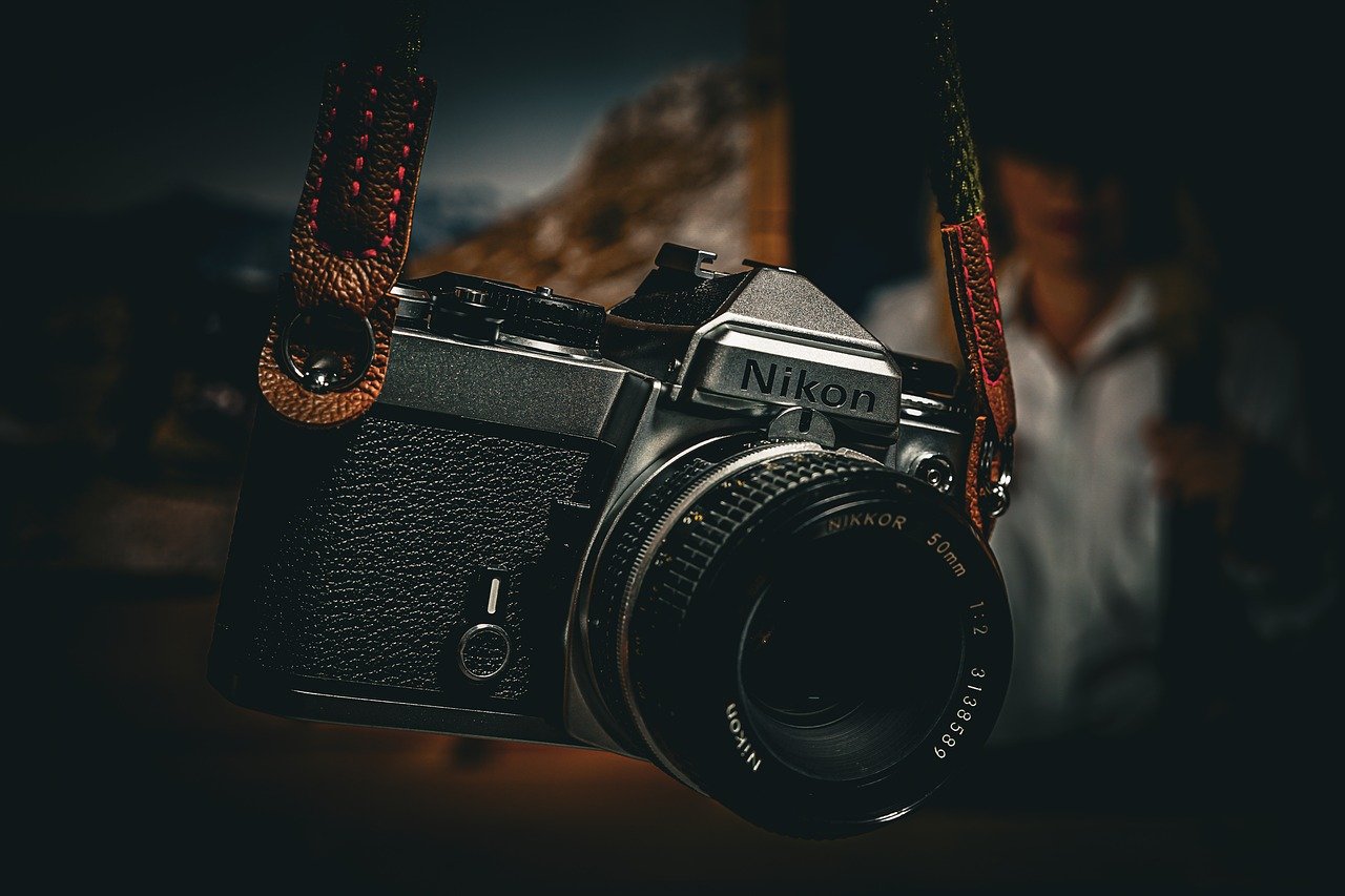 Safety Tips for Wildlife Photographers